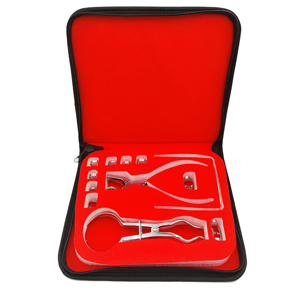 Dentistry Dam Hole Puncher Set - Leatherwork Punching Tool recensione e prezzo