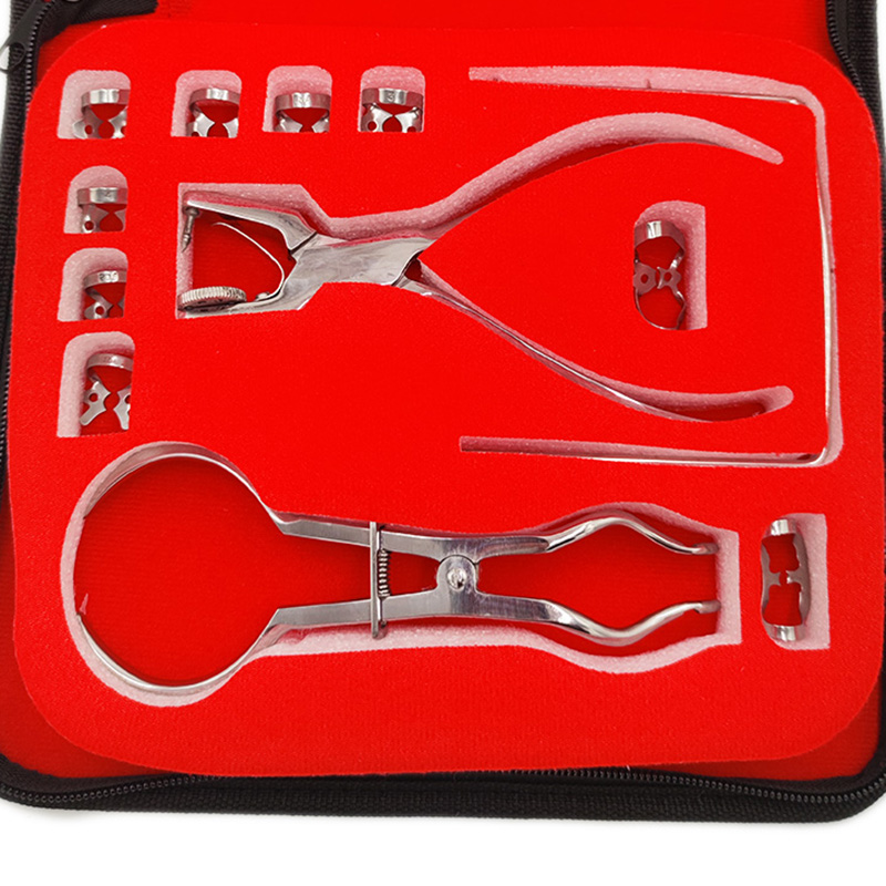 Dentistry Dam Hole Puncher Set - Leatherwork Punching Tool recensione e prezzo